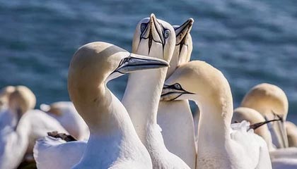 lol英雄攻略哪个网站最好